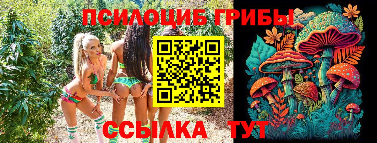 Галлюциногенные грибы ЛСД  Псилоцибиновые грибы мицелий  закладка  Кстово  Вход с VPN 